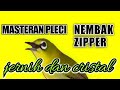 Masteran Pleci Nembak Zipper Mempercepat Pleci Buka Paruh Mp3 - Mp4 Download