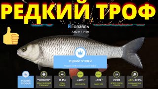 ГОЛАВЛЬ РЕДКИЙ ТРОФЕЙ ВЬЮНОК - ГОЛАВЛЬ фарм 🔴 РУССКАЯ РЫБАЛКА 4 / Russian Fishing 4