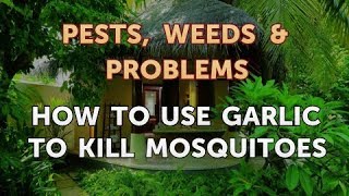 All necessary for pest control
https://amzn.to/2rlu5cg---------------how to use garlic kill
mosquitoes. mosquitoes are blood sucking parasites that turn a...