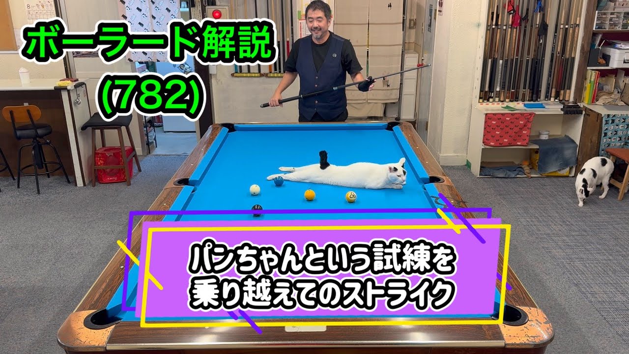 ビリヤード CYCLOPBALL Cats and Billiards] Kaiba's Bowlard Commentary (773) I want