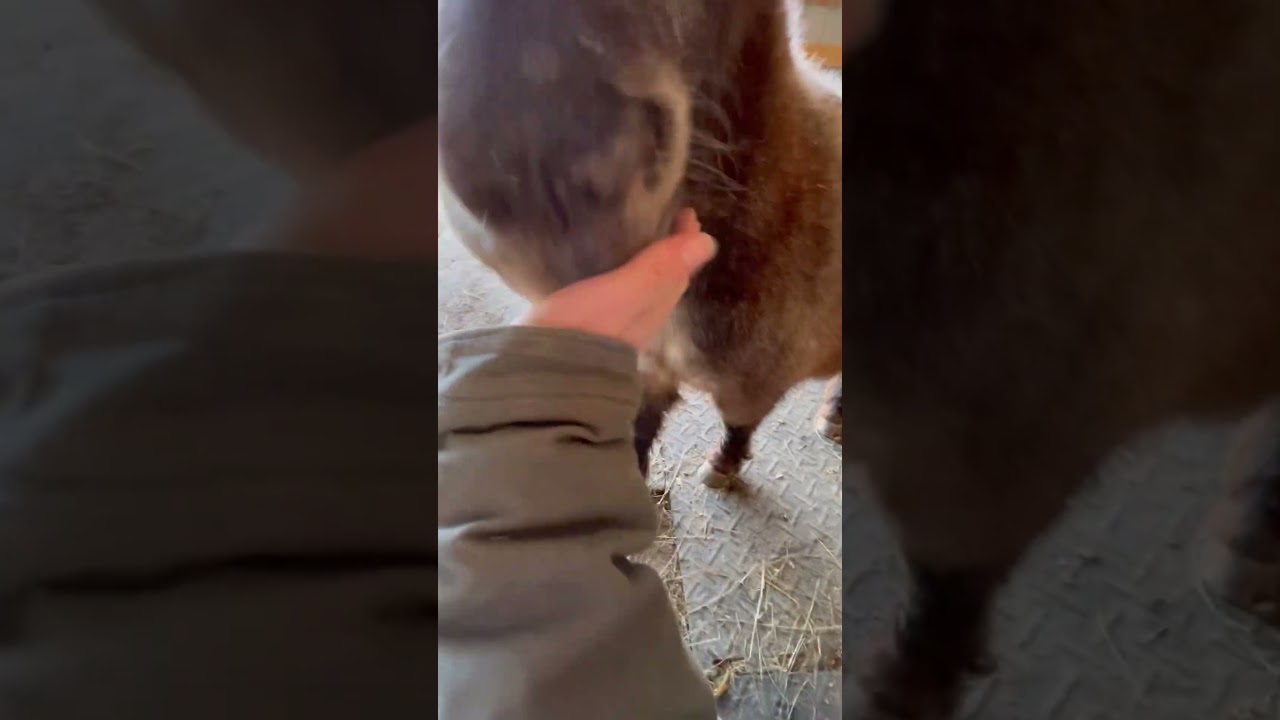 She’s the best 🥹🥰 