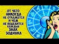 От чего никогда не откажется и чем не поделится каждый Знак Зодиака