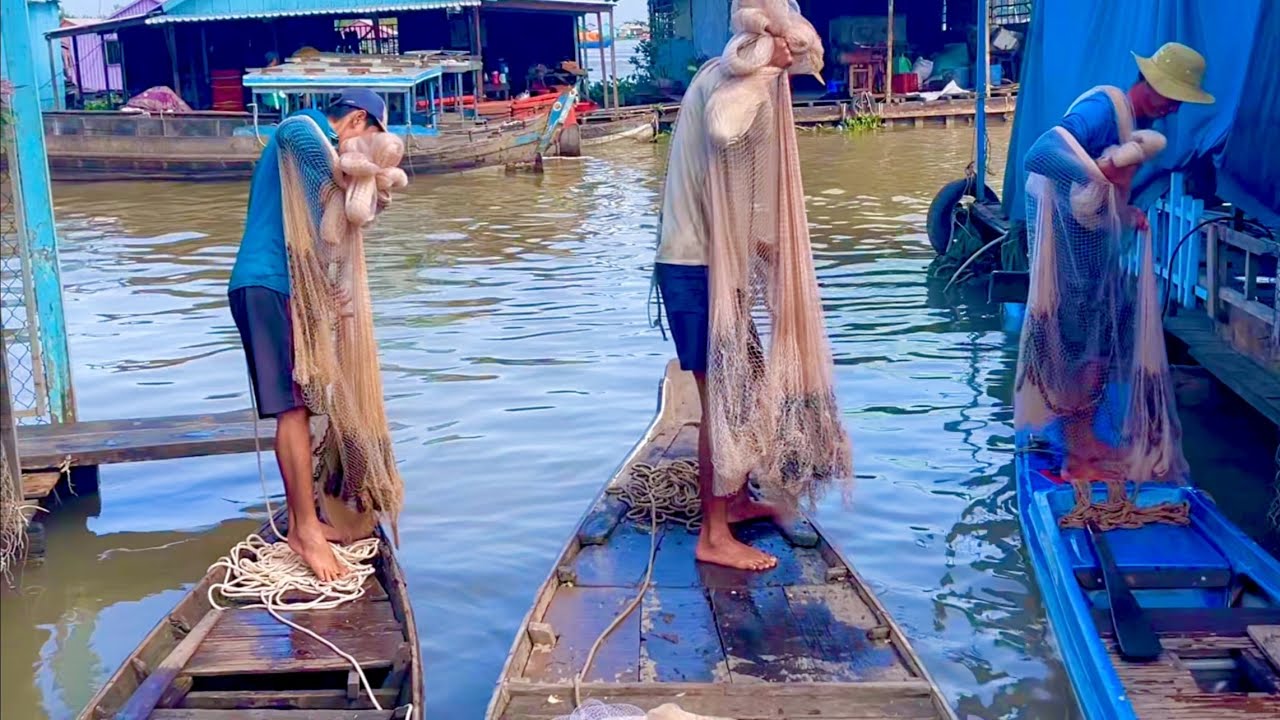 Tiếp tục Cùng Anh Em Xóm Chài || Chài Bè Dời #fishing #chaica #mientay 