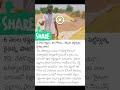 #ciniupdates #all #updates #politics #news #youtubeshorts #viralshorts #viralnow #cricketnews #ipl