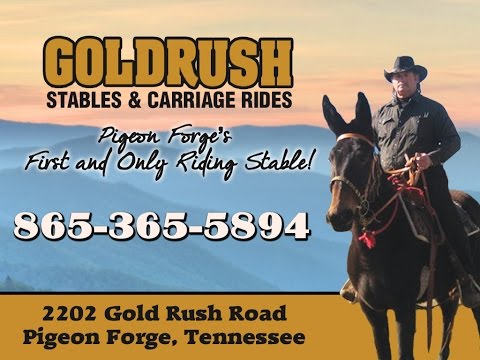 Gold Rush Stables Pigeon Forge Coupons Youtube