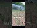 RM Superrain 75 #irrigationsystem #farming #agriculture #onionfarming #machine #shorts #shortsviral