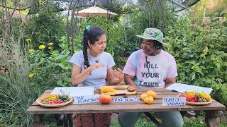 We may have found the tastiest tomato after trying over 50 varieties|Perfect Harmony, Black Beauty+