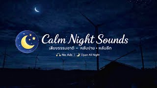 กลางคืนเงียบงันใต้กังหันลม | Night Windmill Ambience screenshot 4
