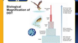 Biology Ch 22 Humans & the Environment