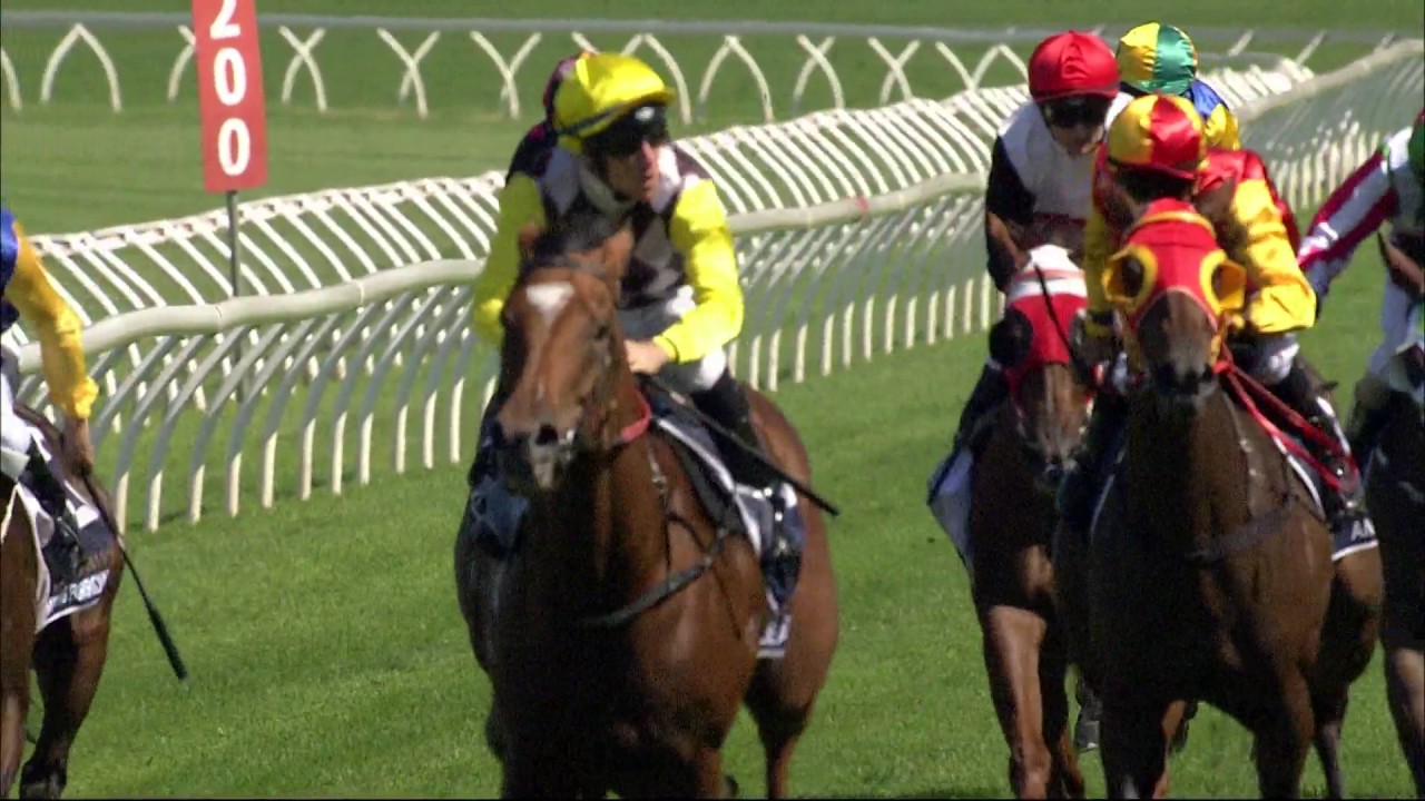 sky racing horses