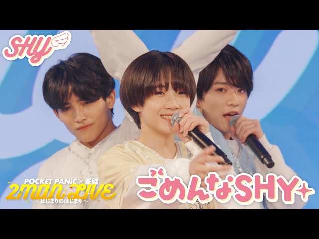 SHY ペンライト 峯脇 ポケパニ SHY 峯脇 POCKET PANiC 大古参ペンライト 【K-POP】雑食オタクのペン