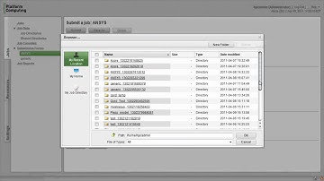 Platform HPC 3 - Managing Application Workloads