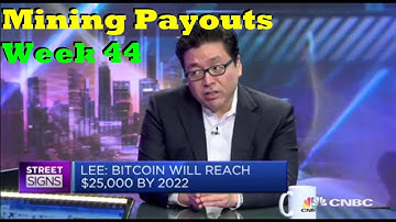 Week 44 | Mining Payouts 11/18/19