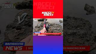 #beritahiburan #beritahariini #beritaviral #beritaterkini #beritalucu