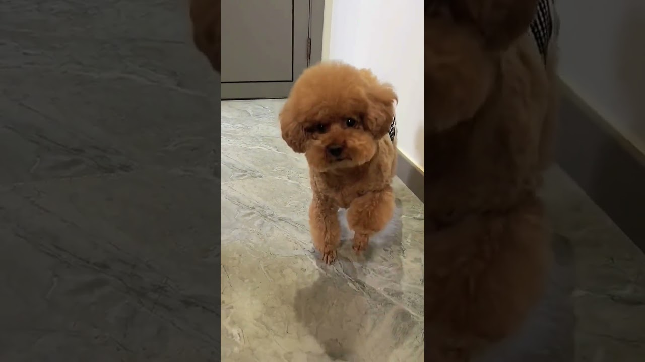 Boost Your Brainpower with Just One Day of Skipping School! 