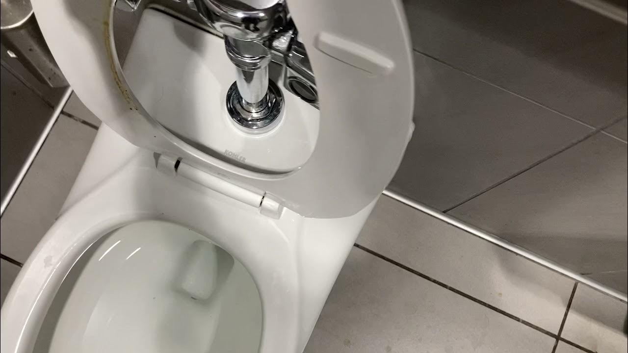 3,207. Lidl Unisex Restroom YouTube