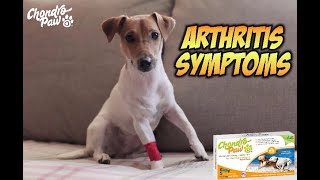 Arthritis in Dogs Away | Glucosamine for Dogs | Pets Joint Health Supplement