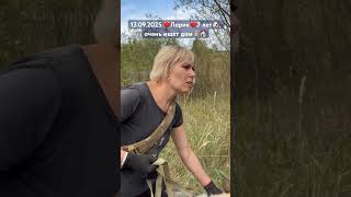 Нежный, умный, красивый пес🥹🐶🙏🏼, очень ждет вас в приюте для животных «Сириус»🙏🏼🏠