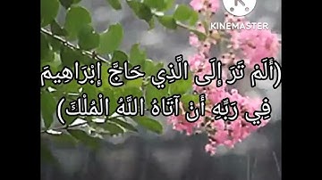 (قال إبراهيم فإن الله يأتي بالشمس من المشرق فأت بها من المغرب فبُهت الذي كفر)🌹قرآن كريم راحة نفسية💖💕