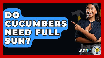 Do Cucumbers Need Full Sun? - LearnToDIY360.com