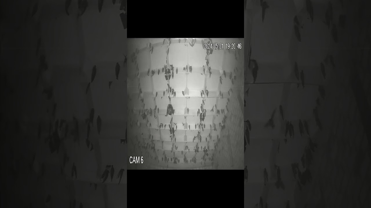 Độ Ẩm nhà yến/Chia sẻ 1 số kiến thức bản thân(phần 2)