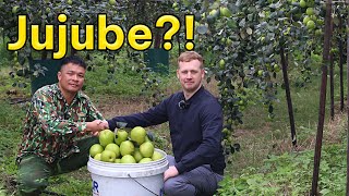 Brentwood Family in Vietnam: Visiting a Jujube Farm