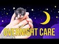 Tips for Overnight Kitten Care