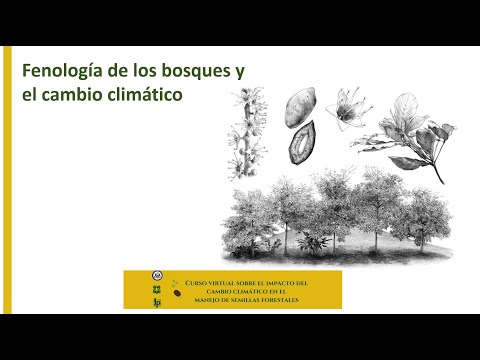 Video: Módulos Tropicales