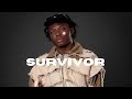 Chella Survivor Lyrics Video