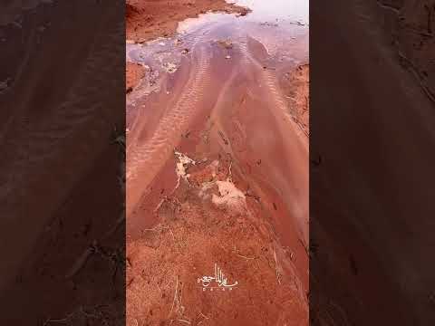 امطار وادي رم ٢٠٢٢ ١ ١