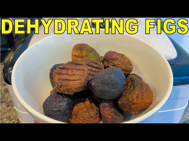 How To Store Figs