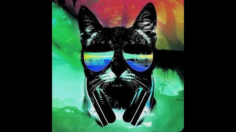 Mun intro ja eka video