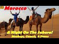 Video 70 - Morocco Chapter 3 - A Night In the Sahara!
