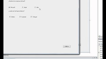 Vb.net curso part3 - CheckBox y RadioButton