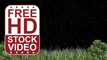 Free Stock Videos – american boxwood, grass, dust particles and fireflies on black BG 3D animation