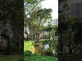 Singapore street view #singapore #singaporearchitecture #viral #shorts #shortvideo #trending #viral