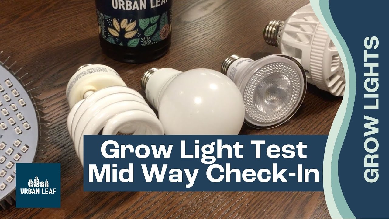Grow Light Options for Indoor Plants: Mid Way Check In of Amazon's Best