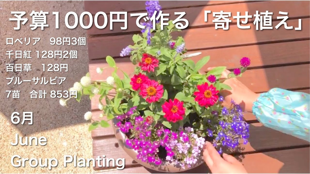 ひい様ご専用♥そのまま飾れる寄せ植え♥ ❤️専用❤️多肉植物❤️そのまま飾れる寄せ植え❤️4点❤️ 【公式