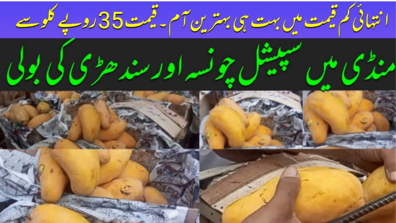 Mango || Pattoki Mandi Rate || Mandi updates || Famous Chunsa, Sindhri and other Varieties |