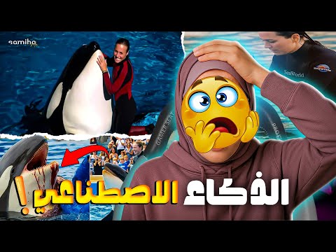 اكبر قالب كيفاش قصة جيسيكا مع حوت الاوركا صدقات خدعة