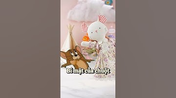 Bí mật của chuột - câu chuyện thú bông vải Tiệm Tạp Hóa Nhà May