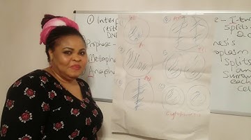 6 Mark Question | GCSE 2018 Biology Revision: Mitosis