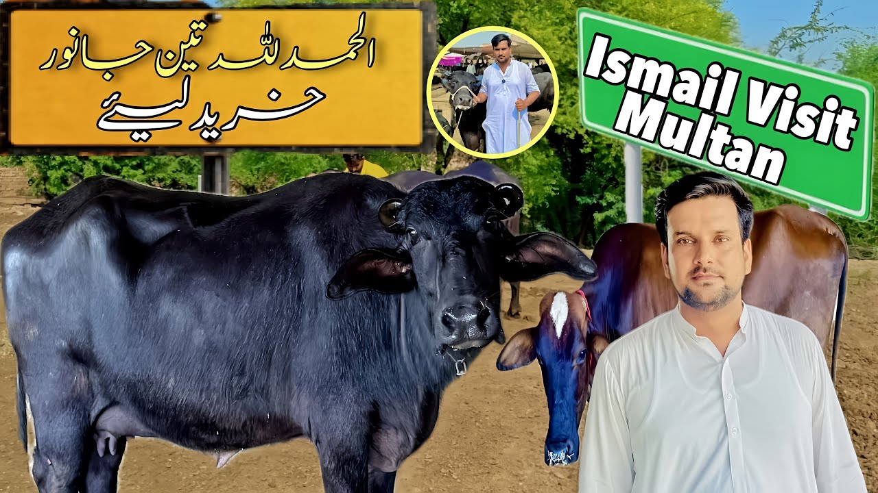 Ismail Jutt Visit Multan - YouTube