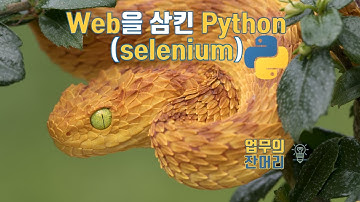 Web을 삼킨 파이썬 (Python with selenium)