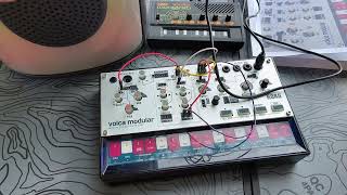 volca modular self generating patch+korg monotron delay