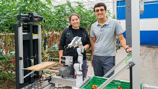 A Picking Robot for the Greenhouse