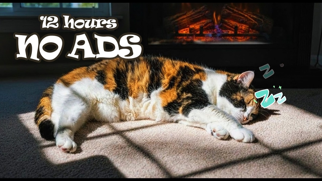 😺 12 Hours Piano Music for Cats Home Alone NO ADS 🎹 Soft Therapy for Cat Deep Sleep