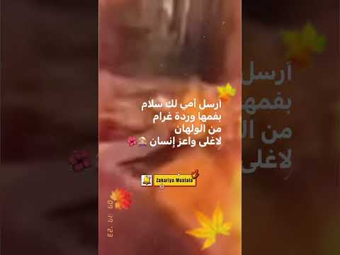 أرسل أمي لك سلام بفمها وردة غرام من الولهان لاغلى واعز إنسان