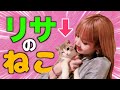 【日本語】リサ､めちゃかわいいペット飼い始めました｡【BLACKPINK】