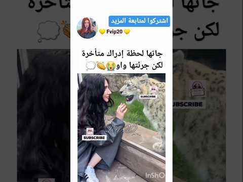 الجرأة    اكسبلور ترند  دويتو تيك توك   اكسبلور